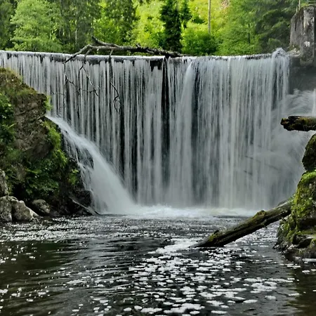 Lindenglück * Löffingen